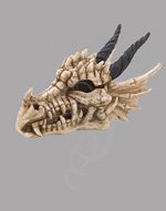 Dragon Skull Treasure Box