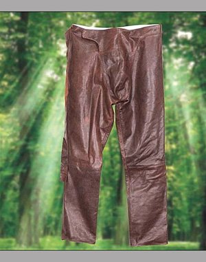 Robin Hood Leather Pants