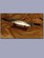 Small image #2 for Limited Edition , Battle-Ready Tristan's Sword from Stardust