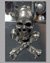 Small image #3 for Skull n Bones Lighter with Inset Stones