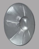 Steel Buckler Shield