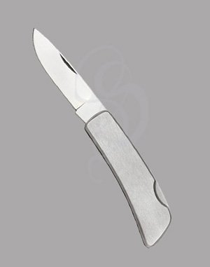 Stainless Steel Folding Knife