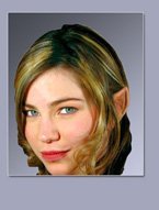 False Wood Elf Ears with Adhesive