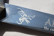 FLY DRAGON FLY