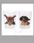 Small image #1 for Buccaneer Shot Glasses - Set of 2