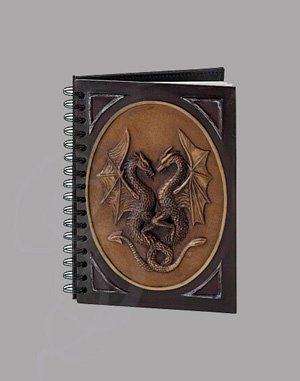 Double Dragon Journal