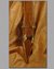 Small image #4 for Large Mainz Gladius With Wooden Sheath