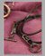 Small image #3 for Draco Furioso Pendant and Leather Thong