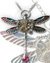 Small image #1 for Dragon Fly Pendant - Clockwork Darter