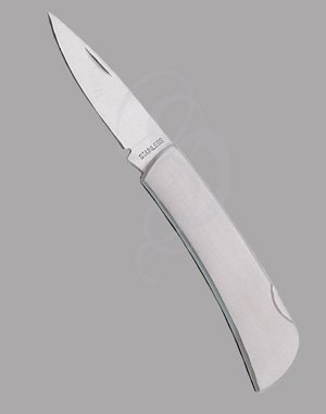 Stainless Steel Folding Knife