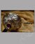 Small image #2 for <font color=#cc1111<B>SOLD OUT!</B></font> Masterwork Toledo Steel Silver Rapier
