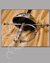 Small image #3 for <font color=#cc1111<B>SOLD OUT!</B></font> Masterwork Toledo Steel Silver Rapier