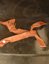 Small image #3 for Life-Sized Painted Foam Scutum with Leather Straps
