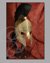 Small image #1 for Weathered 18-Gauge Brass Greek Helmet with Crest, Liner