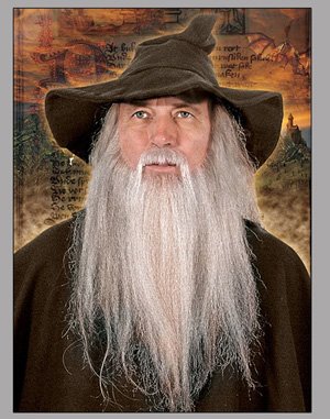 Wizard Real Hair Beard
