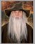 Small image #1 for Wizard Real Hair Beard