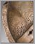 Small image #3 for Limited Edition, Full Size Shield from the Movie 300