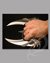 Small image #2 for Kit Rae's Fang of baelin with Free Art print