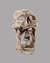 Small image #1 for Skeleton in Skull Votive