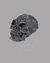 Small image #1 for Skull with Stash Box